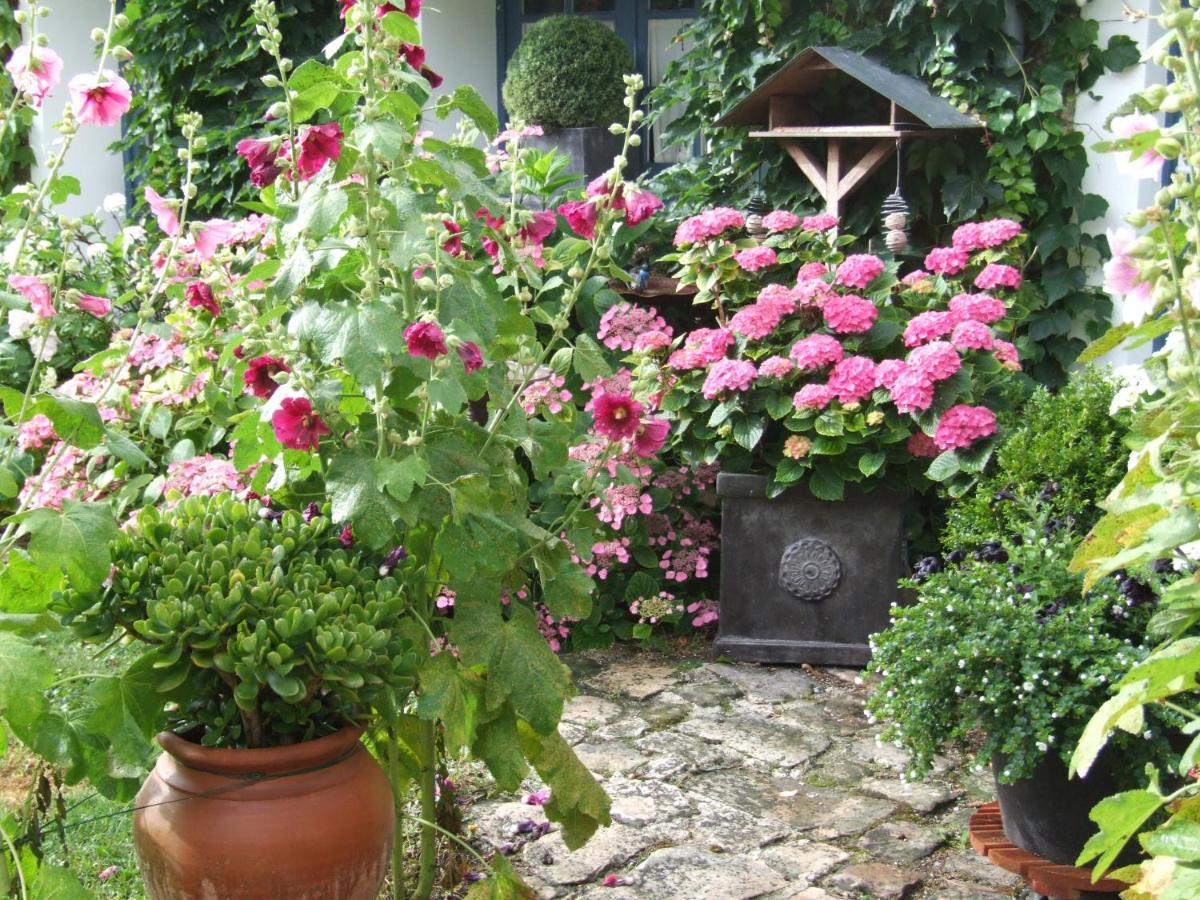 Les Glycines Bed & Breakfast อูริ ภายนอก รูปภาพ