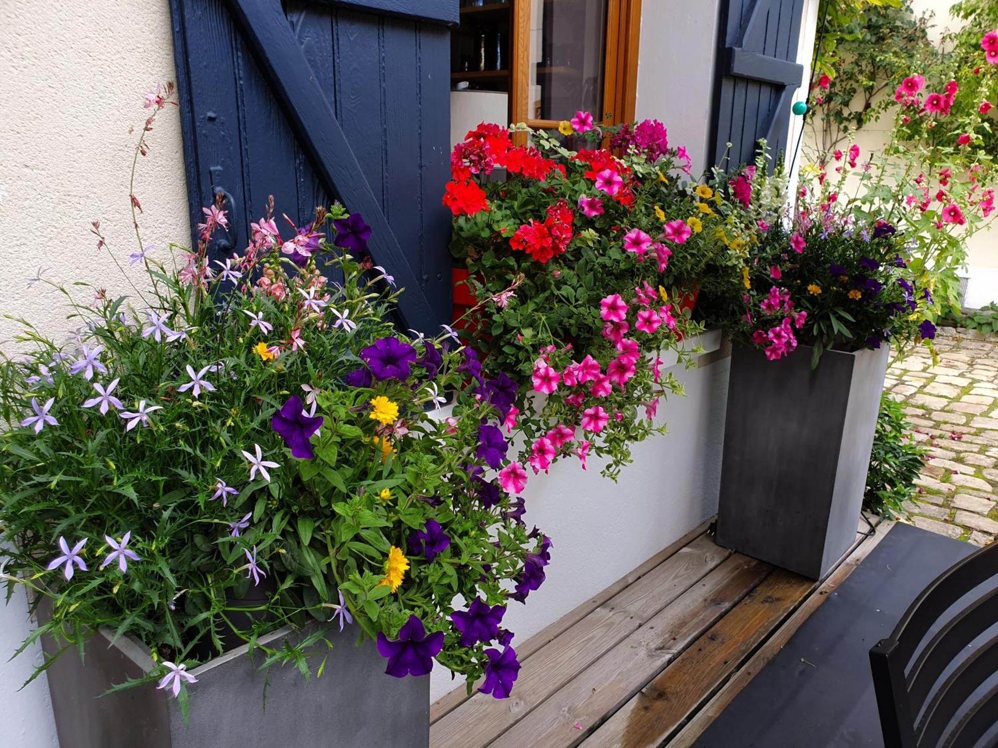 Les Glycines Bed & Breakfast อูริ ภายนอก รูปภาพ
