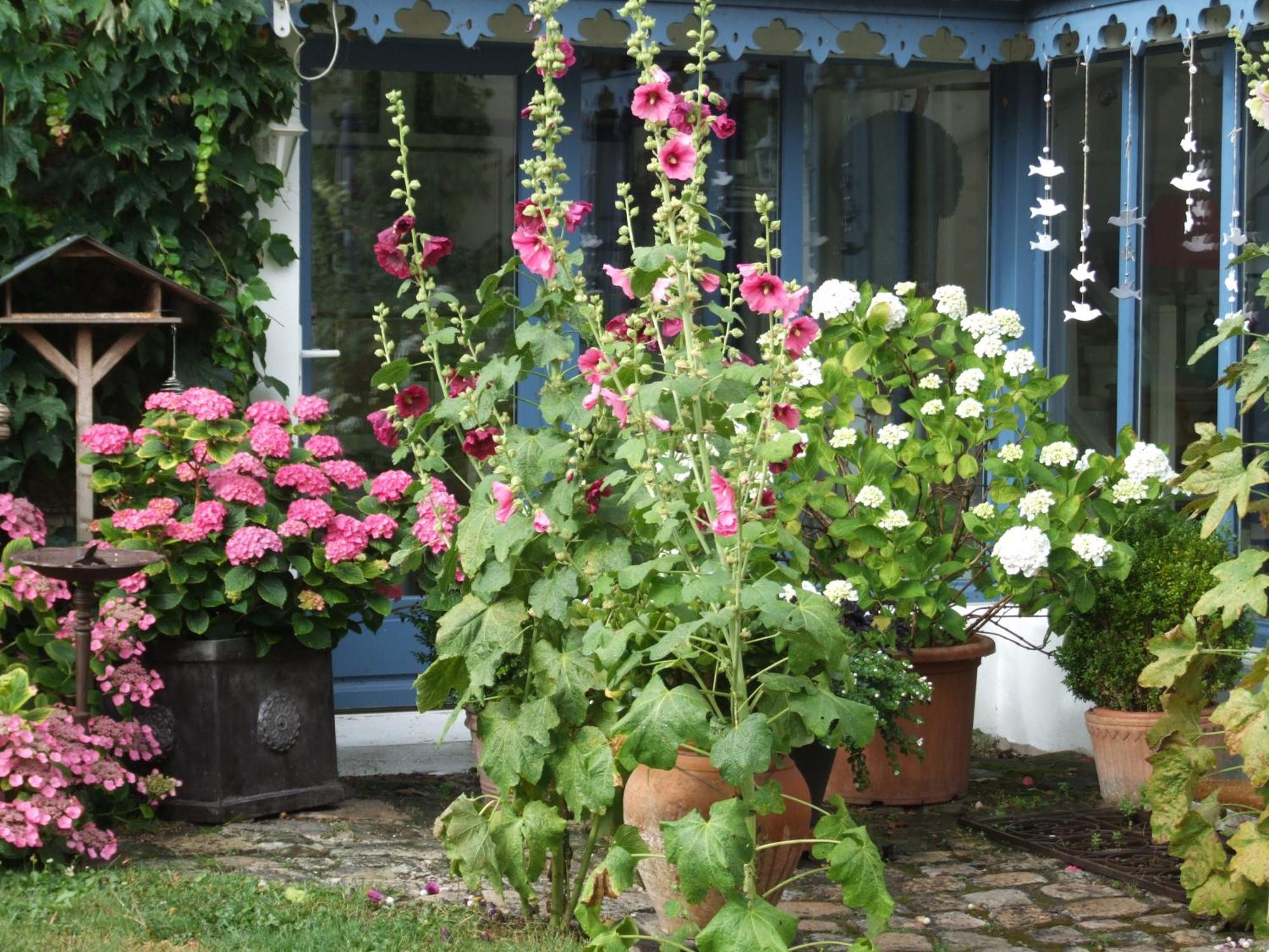 Les Glycines Bed & Breakfast อูริ ภายนอก รูปภาพ